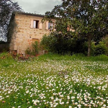 Вилла La Vigna Agriturismo Сиена Экстерьер фото