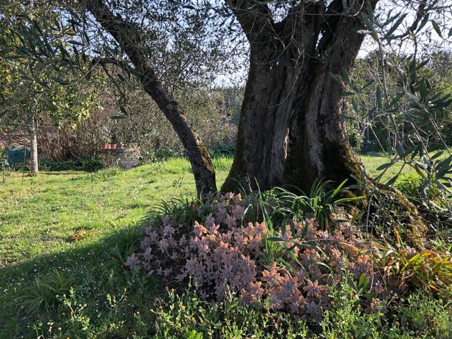 Вилла La Vigna Agriturismo Сиена Экстерьер фото