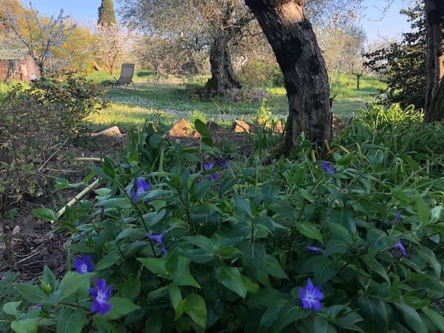 Вилла La Vigna Agriturismo Сиена Экстерьер фото