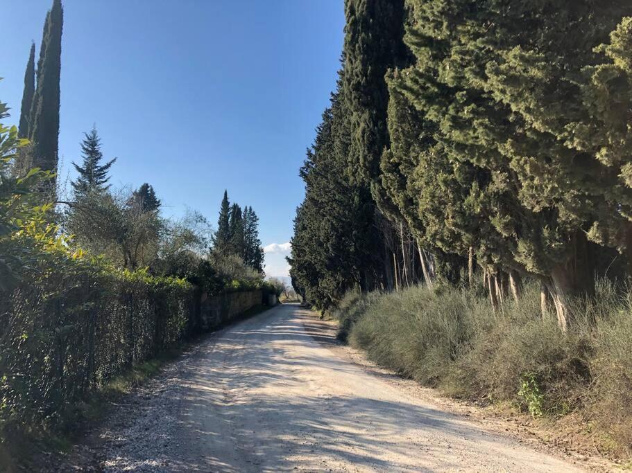 Вилла La Vigna Agriturismo Сиена Экстерьер фото