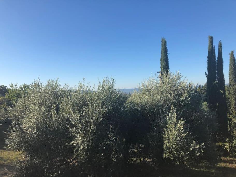 Вилла La Vigna Agriturismo Сиена Экстерьер фото